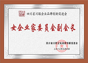 女企業(yè)家委員會(huì)副會(huì)長(zhǎng)